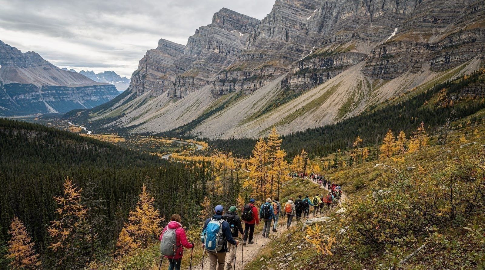 Larch Valley in gold: the crowds nobody warns you about