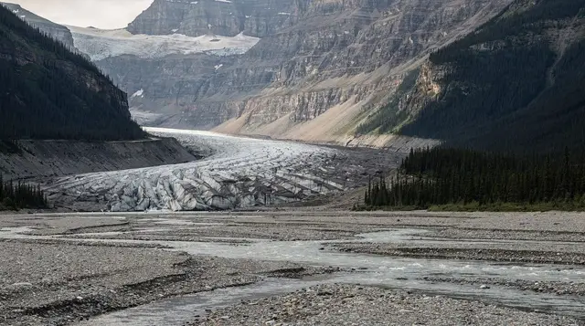 Icefields glaciers