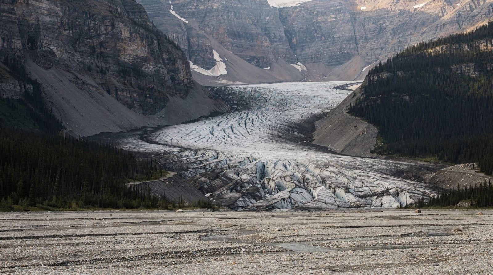 Columbia Icefield: the Ice Explorer, the retreating glacier, and what's worth booking