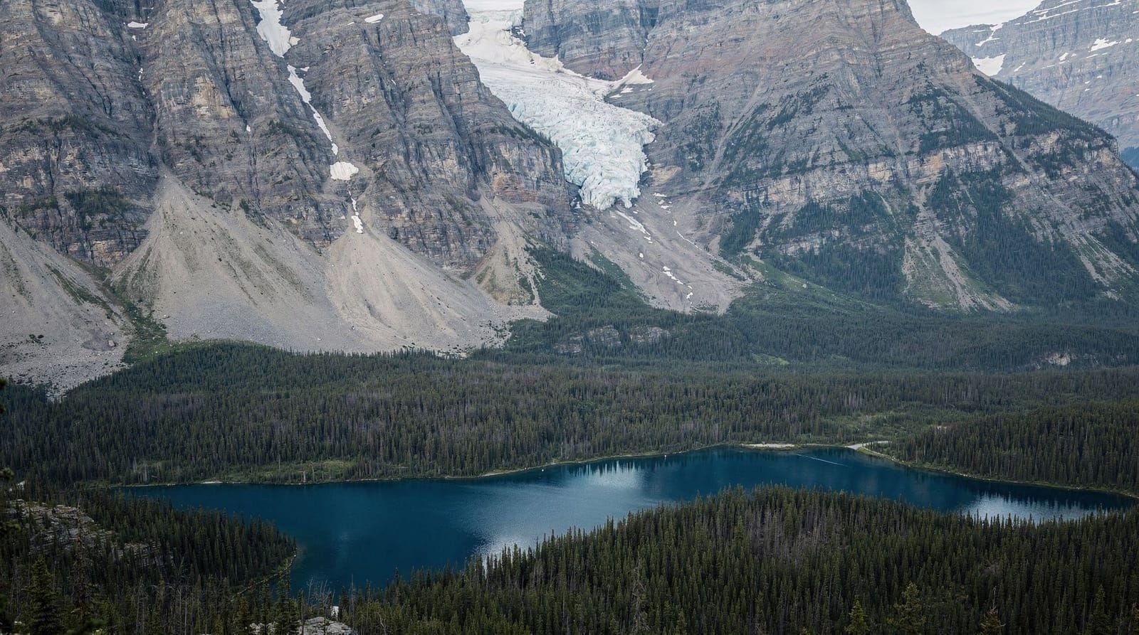 The Crowfoot Glacier