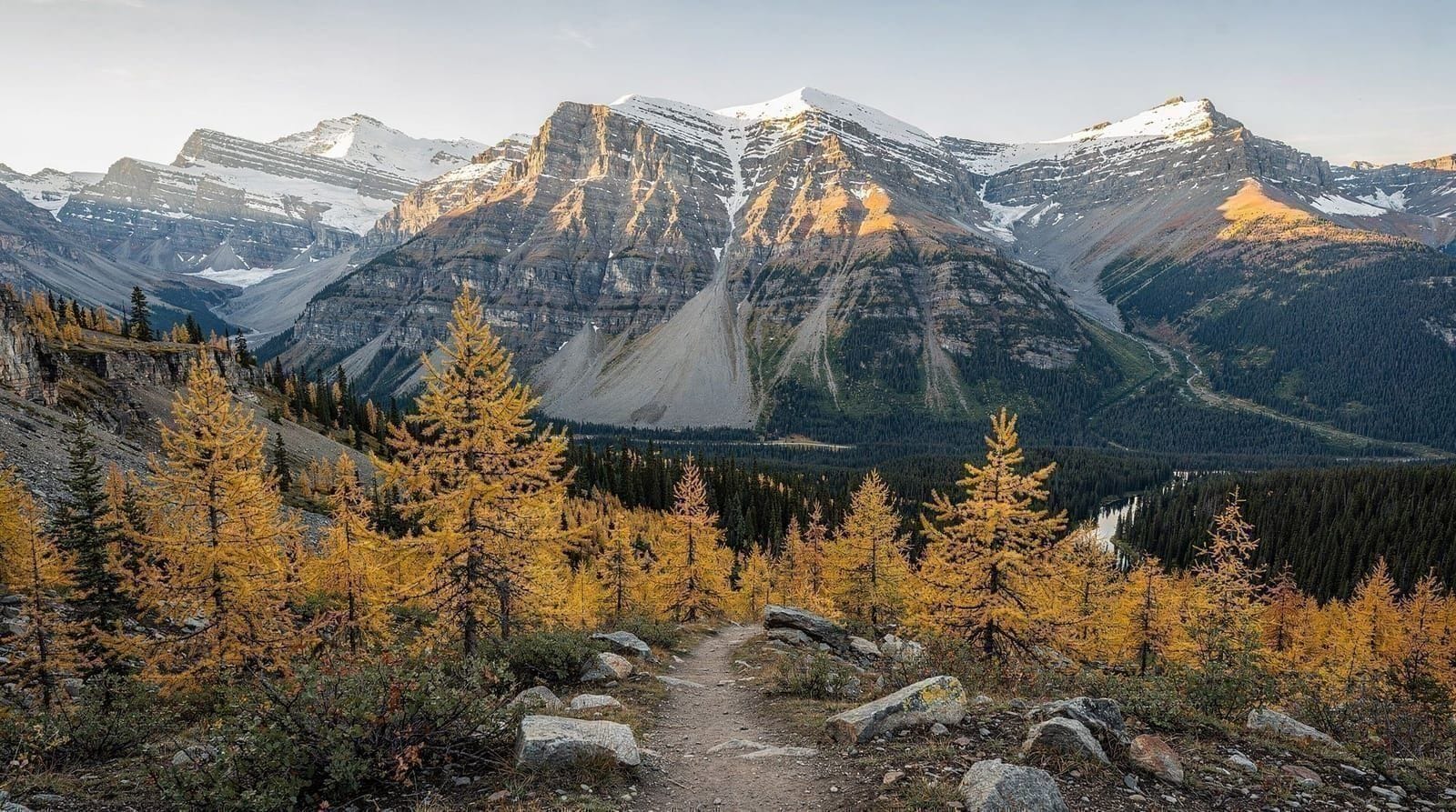 Larch Valley and Sentinel Pass: the golden larch hike above Moraine Lake