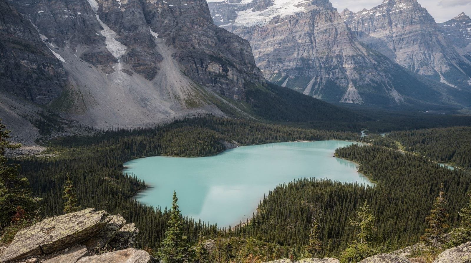 Peyto Lake: the wolf-head viewpoint at Bow Summit