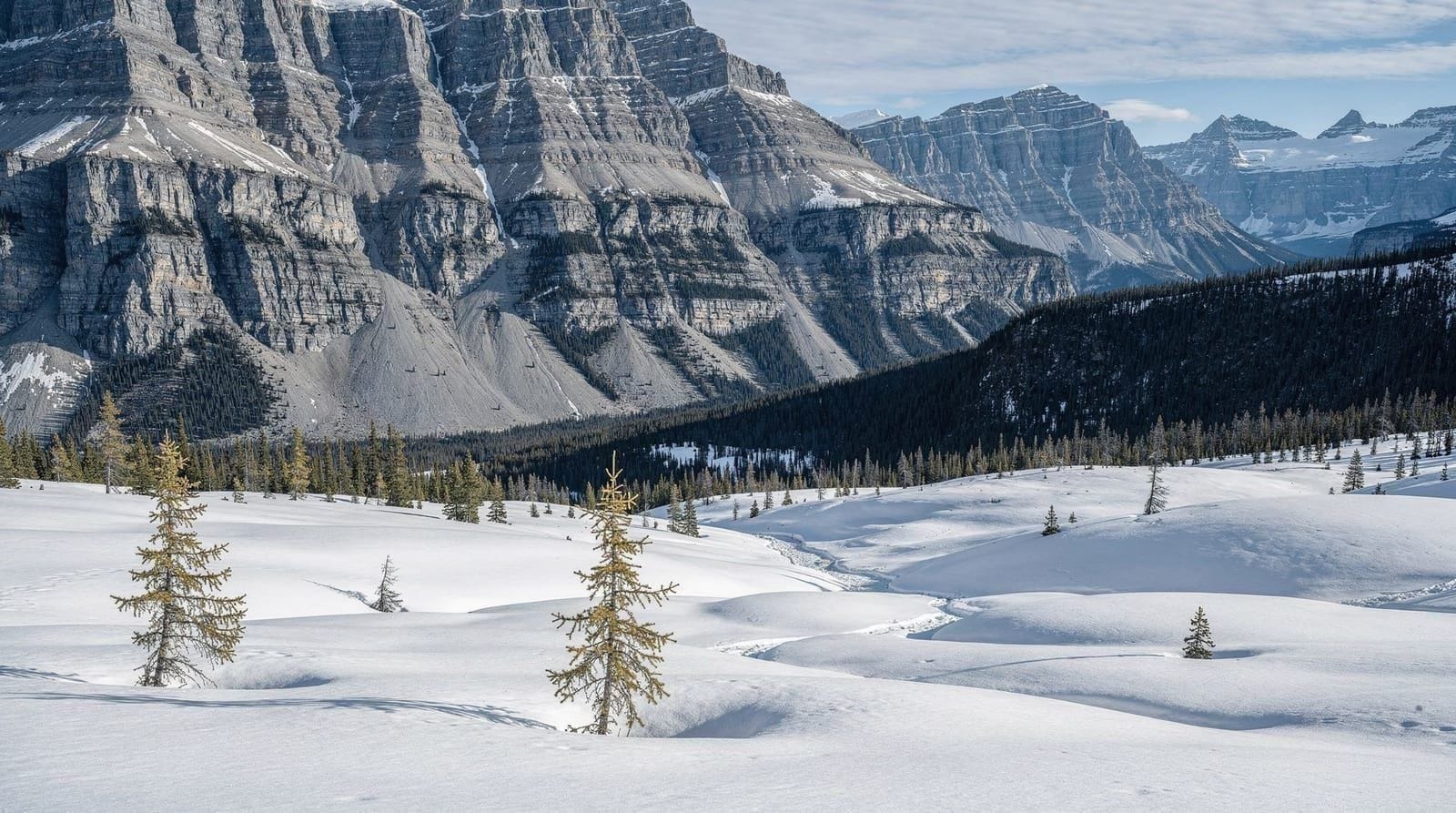 Sunshine Village and Sunshine Meadows