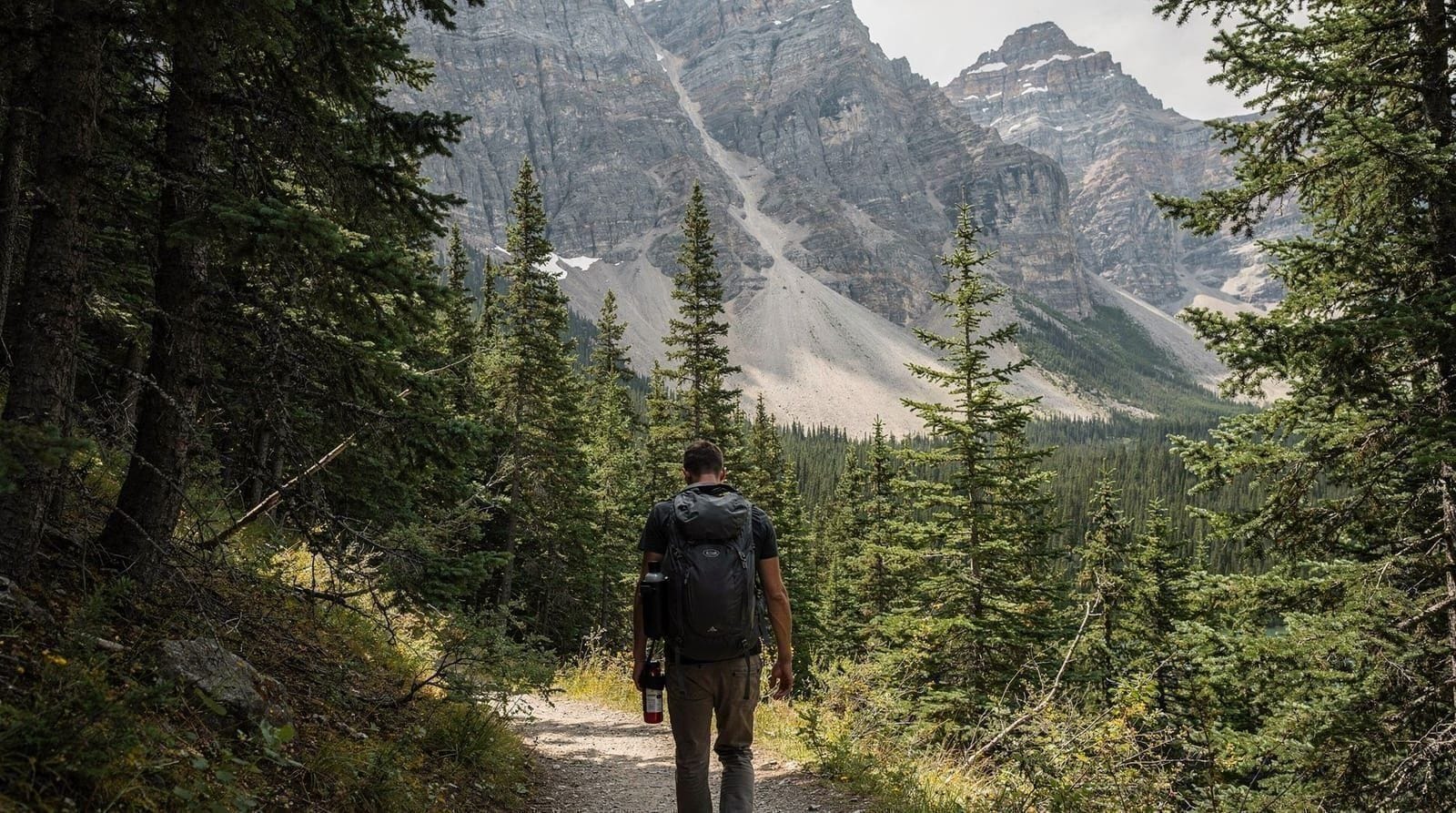 Bear safety on Banff trails: distances, spray, and hiking smart