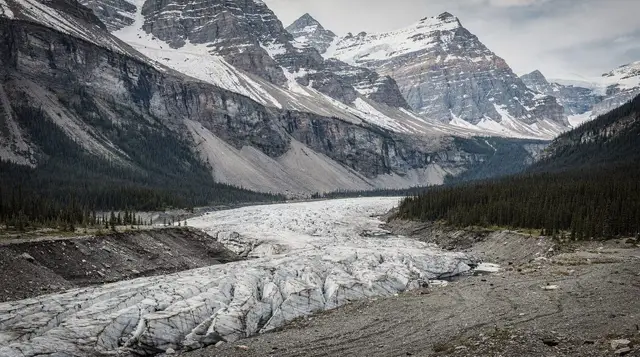 The Columbia Icefield: what it is and how to visit