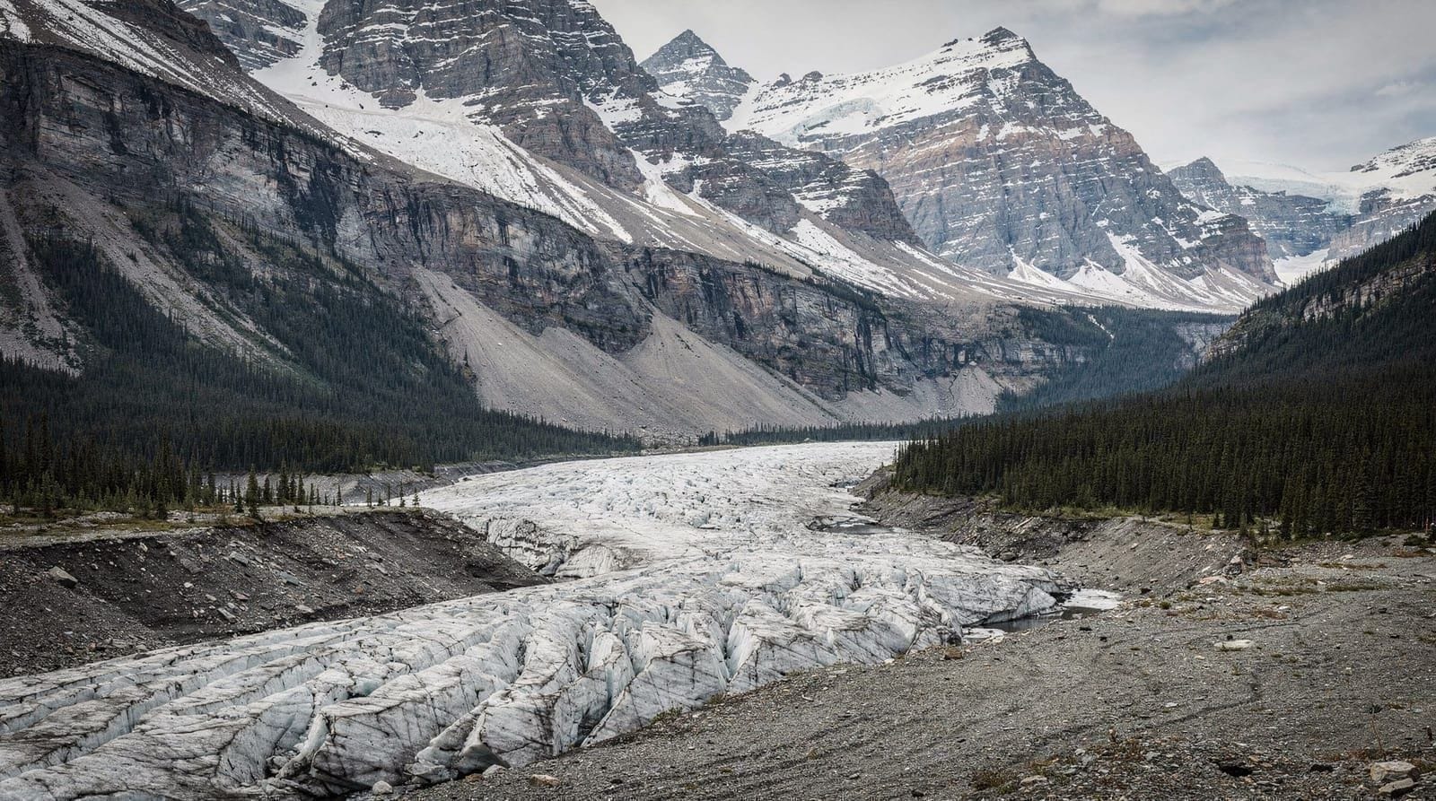 The Columbia Icefield: what it is and how to visit