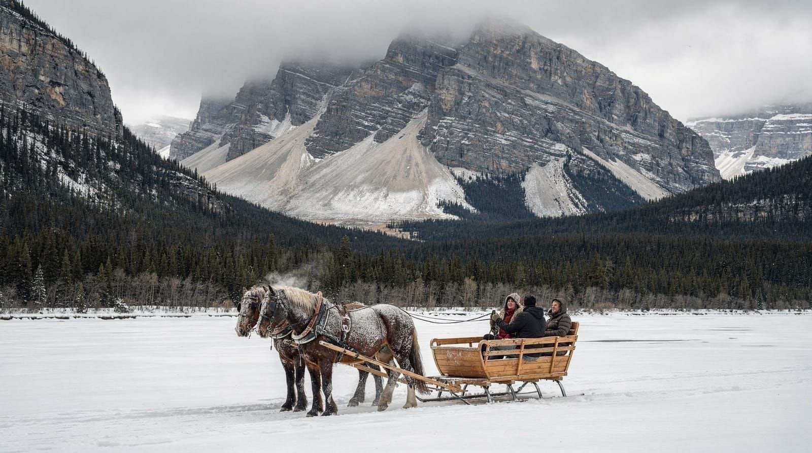 Horse-drawn sleigh rides in Banff