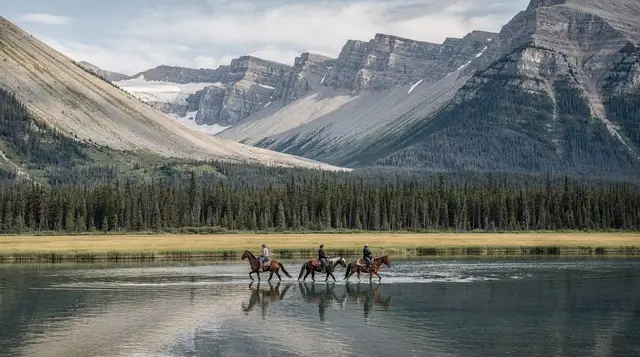Horseback riding in the Bow Valley near Banff