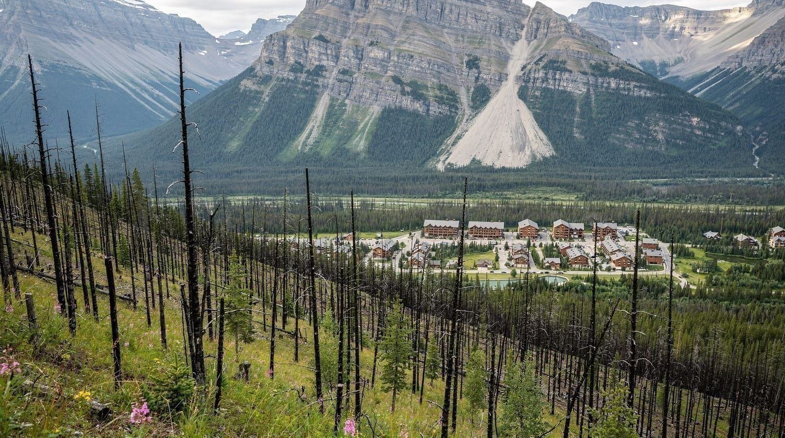 Jasper after the 2024 wildfire: what's open now