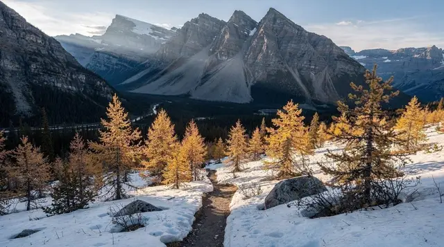Larch Valley and Sentinel Pass in golden season