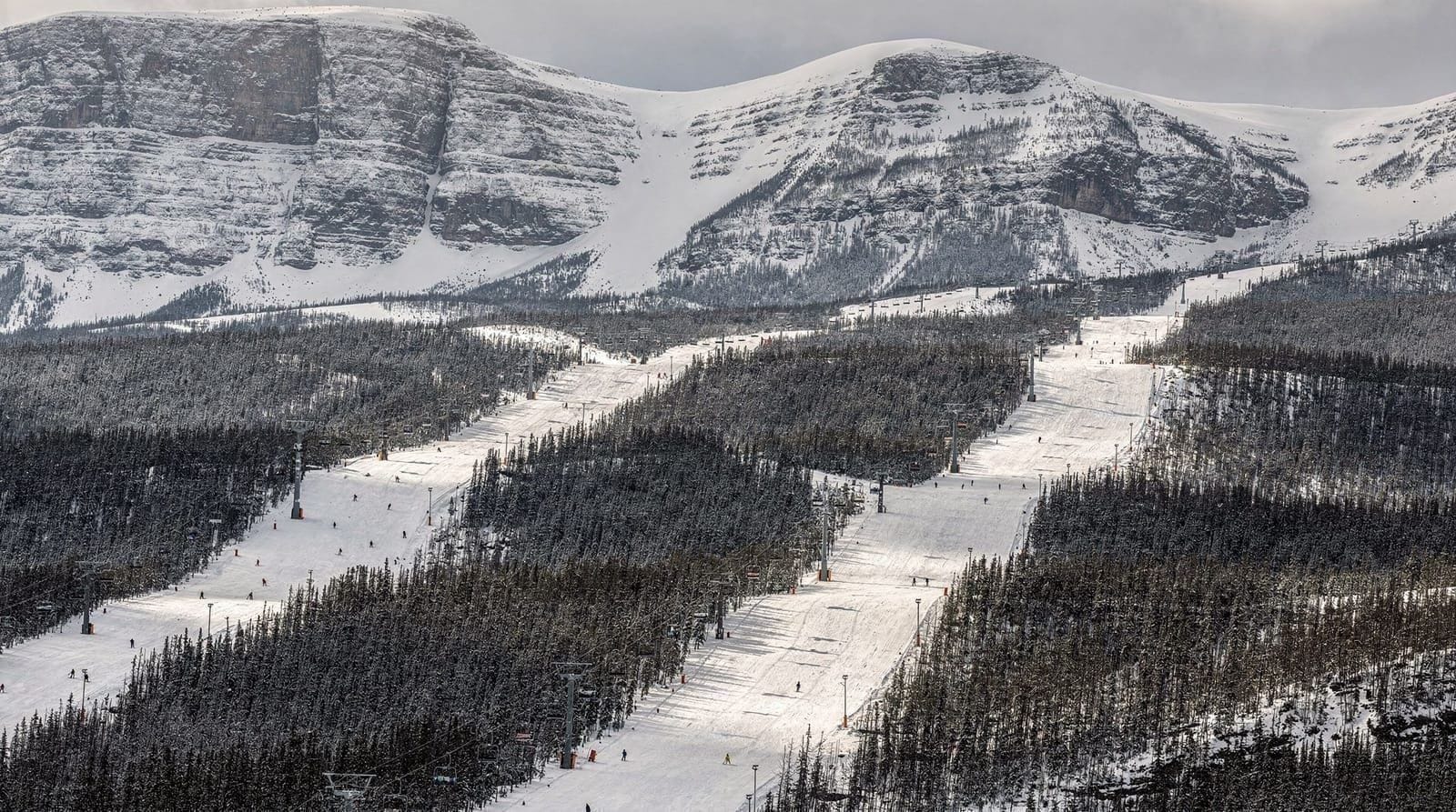 SkiBig3 compared: Sunshine, Lake Louise, and Norquay
