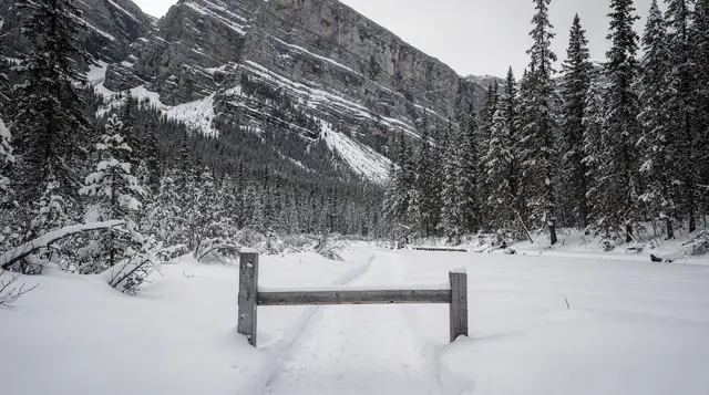 Why snowmobiling is banned in Banff National Park