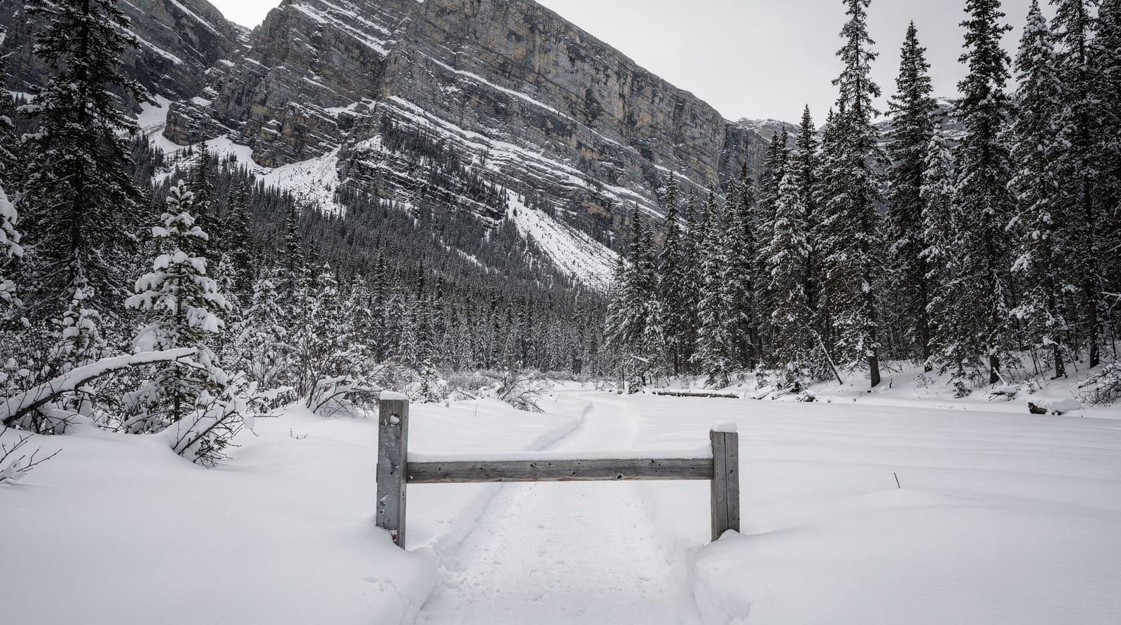 Why snowmobiling is banned in Banff National Park
