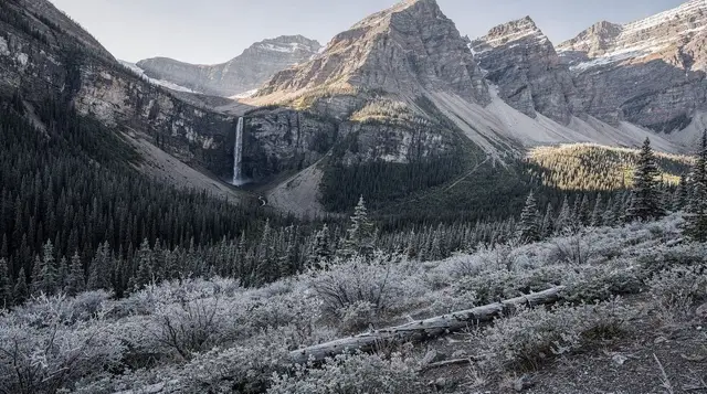 Yoho National Park day trip from Banff: Emerald Lake and Takakkaw Falls